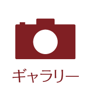 ギャラリー icon_02
